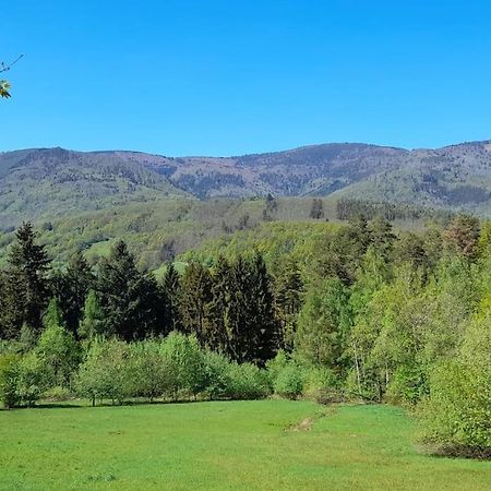 Ville Centre - Gite Le Villois - Au Coeur De L'Alsace Екстер'єр фото