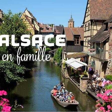 Ville Centre - Gite Le Villois - Au Coeur De L'Alsace Екстер'єр фото