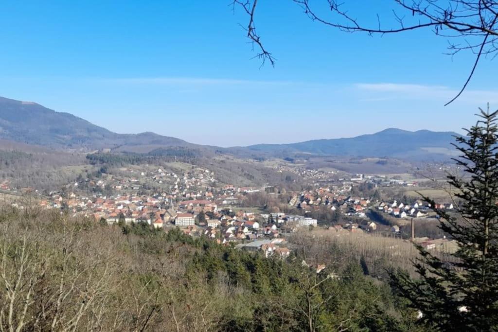Ville Centre - Gite Le Villois - Au Coeur De L'Alsace Екстер'єр фото