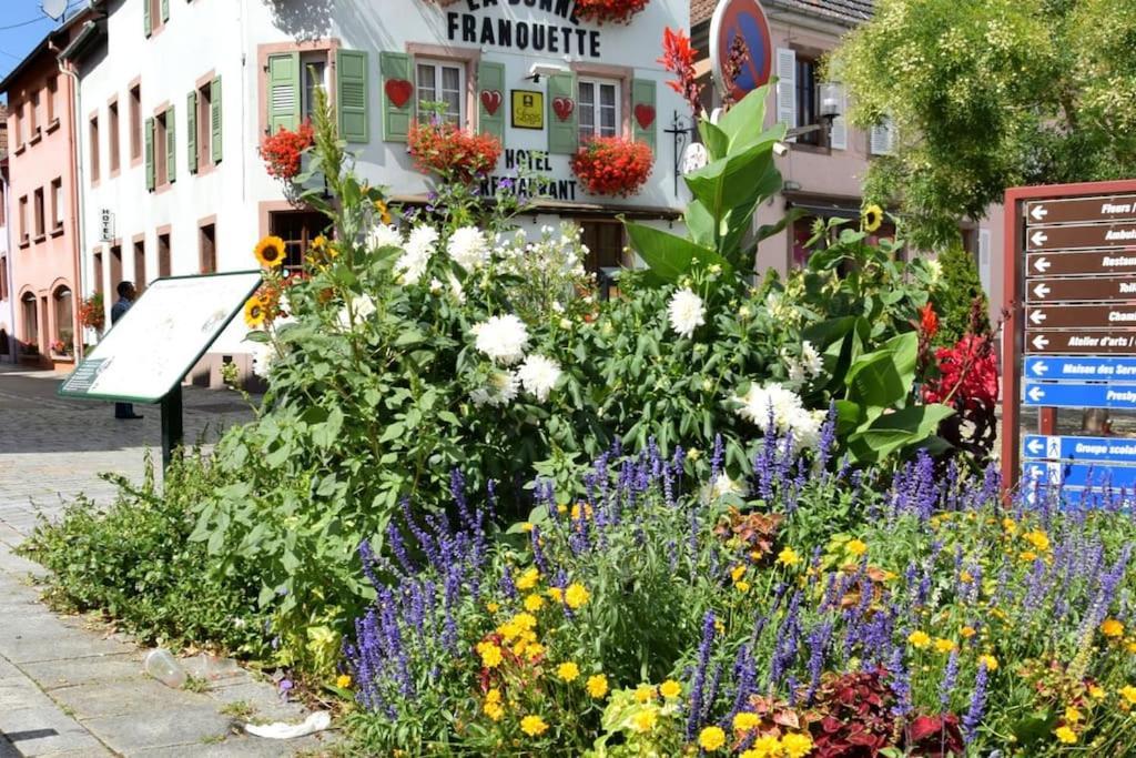 Ville Centre - Gite Le Villois - Au Coeur De L'Alsace Екстер'єр фото