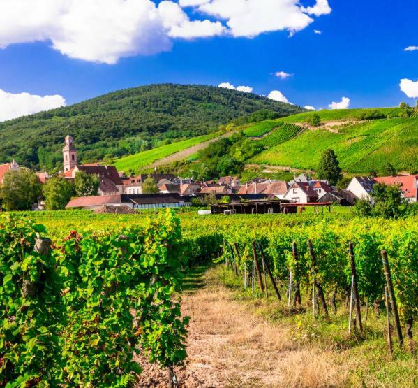 Ville Centre - Gite Le Villois - Au Coeur De L'Alsace Екстер'єр фото